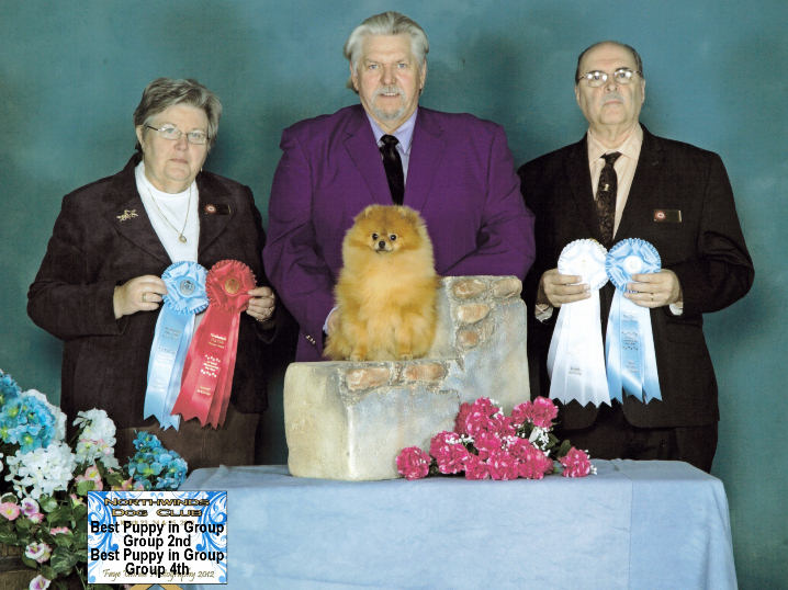 Canadian Champion